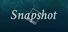 Snapshot