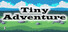 Rogues Adventure