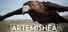 Artemishea