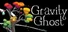 Gravity Ghost
