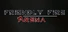 Friendly Fire: Arena