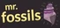 Fossil Corner