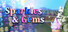 Sparkles & Gems
