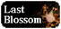Last Blossom: Roleplaying tabletop based scene