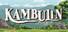 Kambulin