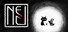 Koira