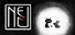 Koira