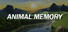 Animal Memory