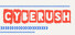 CYBERUSH