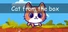 Cat from the box