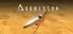 Aggressor