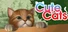 Cute Cats