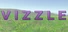 Vizzle