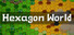 Hexagon World