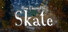 How I learned to Skate