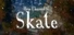 How I learned to Skate