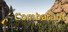 Combatant