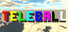 Teleball