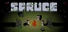 Spruce