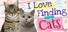 I Love Finding Cats