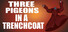 Three Pigeons in a Trench Coat
