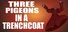 Three Pigeons in a Trench Coat