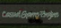 Casual Game Engine