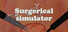 Surgical Robot Simulator