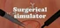 Surgical Robot Simulator