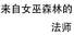 来自女巫森林的法师