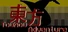Touhou Adventure
