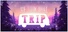 We Took That Trip - Игра "Дорожное путешествие
