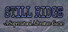Still Ridge - A Supernatural Adventure Game
