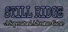 Still Ridge - A Supernatural Adventure Game