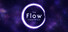 The Flow Experience