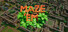 Mazey Village
