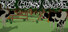 The Cow Game