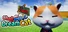 Challenge Dream Cat