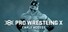 Pro Wrestling X