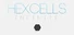 Hexcells Infinite