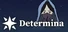 Determina