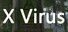 X病毒