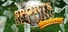 Sports Betting Simulator