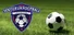 Soccer VR Football