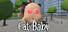 Fat Baby