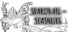 SEARCH ALL - SEASHELLS