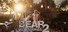 Bear Adventures 2