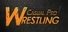 Casual Pro Wrestling