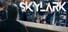 Skylark