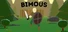 Bimous